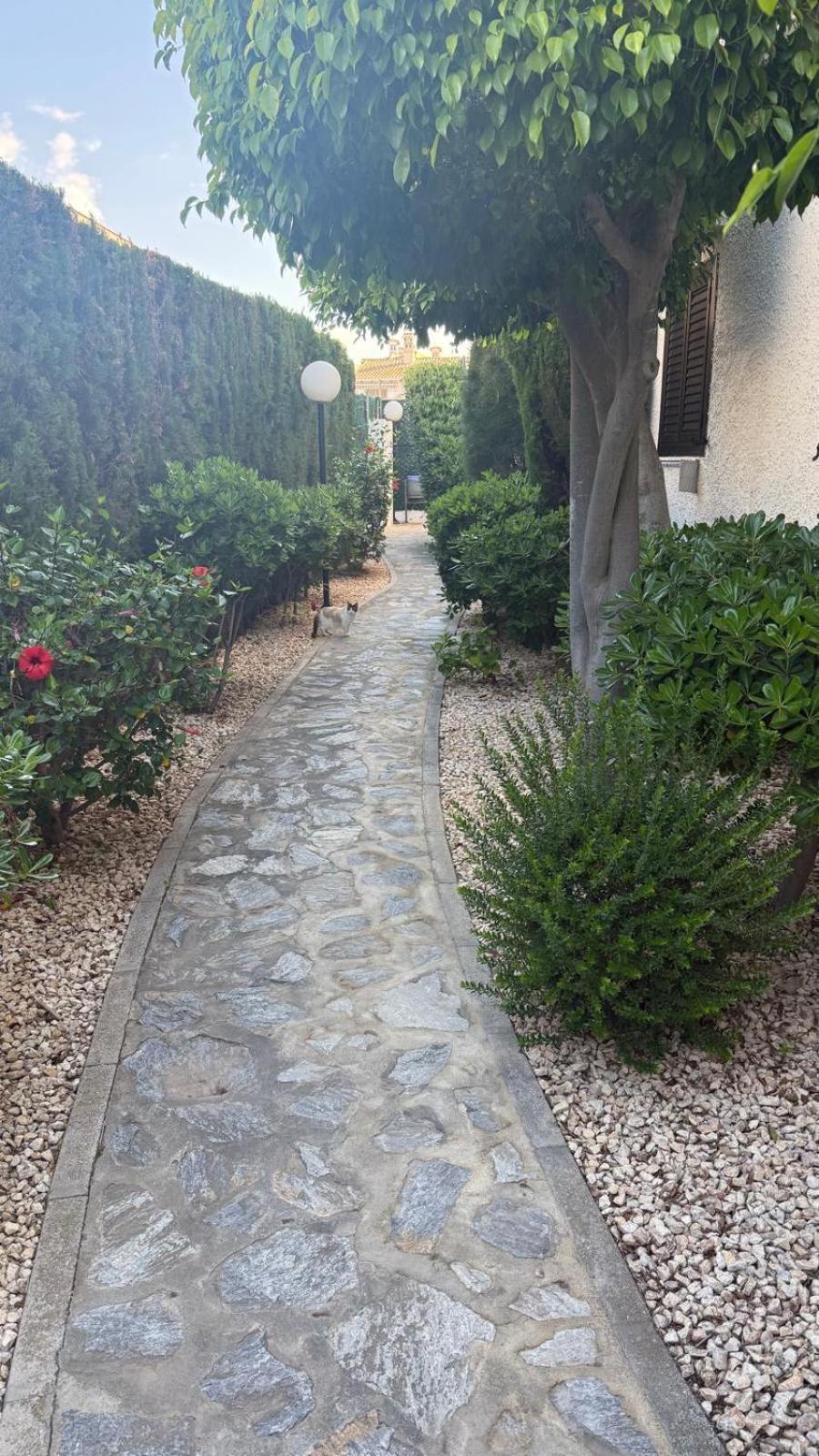 Lobo En Cabo Apartment, Cabo Roig , Orihuela Costa 外观 照片